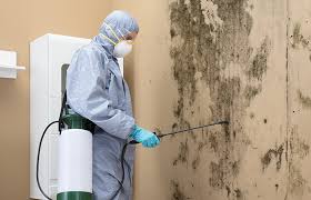 Best Residential Mold Inspection & Testing in Arlington, OH